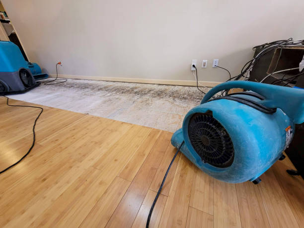 Professional Water Damage Repair technician working in Corryton, TN